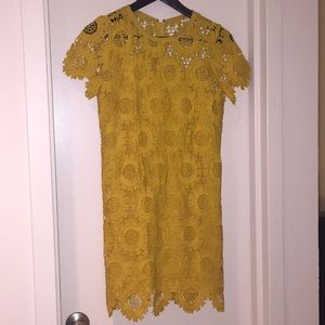 Ann Taylor Loft Gold Lace Sunflower Dress